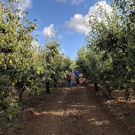 Casa de Férias Pear Farm